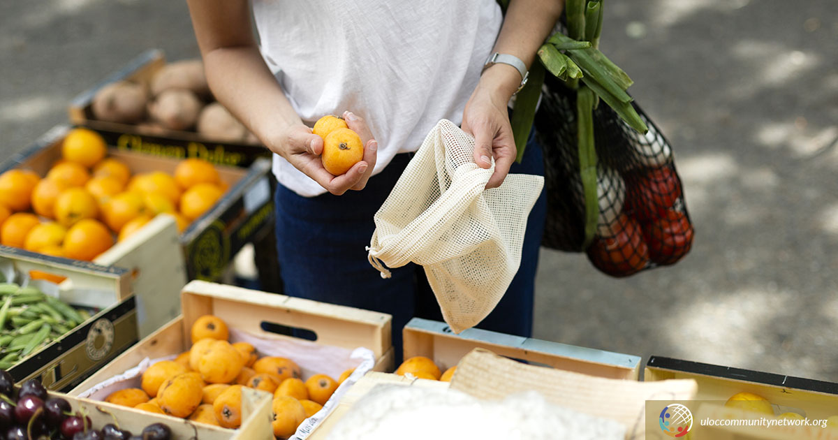 Mobile Food Pantries Serving The Tampa Bay Area